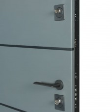 Двери входные БУЛАТ Cottage мод. №703/237 metalic grey/титан