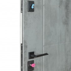 Двери входные БУЛАТ Revolut В-434 мод. №155 оксид темный/оксид светлый