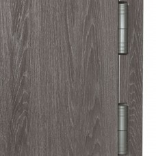 Двери входные БУЛАТ Revolut В-81 мод. №544 дуб нем карбон/дуб нем серебряный