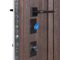 Двери входные БУЛАТ Expert мод. №570/568 дуб дорато темный/олово супермат