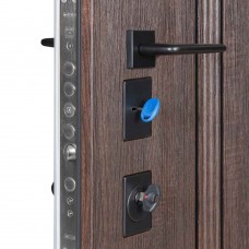 Двері вхідні БУЛАТ Expert мод. №570/568 дуб дорато темний/олово супермат