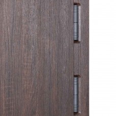 Двері вхідні БУЛАТ Expert мод. №570/568 дуб дорато темний/олово супермат