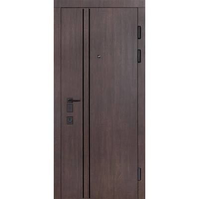 Входные двери БУЛАТ Expert модель 570/568 Дуб дорадо темный/Олово супермат