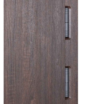 Входные двери БУЛАТ Expert модель 570/568 Дуб дорадо темный/Олово супермат