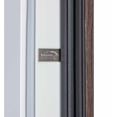 Входные двери БУЛАТ Expert модель 570/568 Дуб дорадо темный/Олово супермат