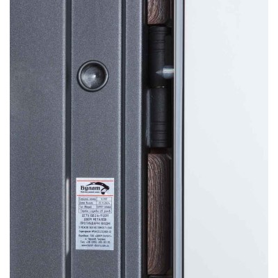 Входные двери БУЛАТ Expert модель 570/568 Дуб дорадо темный/Олово супермат