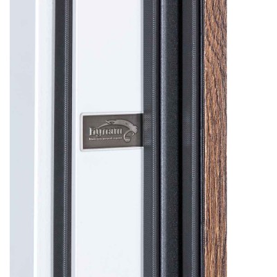 Вхідні двері БУЛАТ Олимп модель 571/238 Дрімвуд Темний/Олово супермат