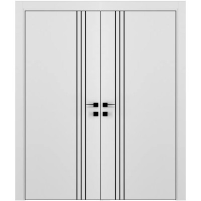 Двустворчатые двери DOORIS (Дорис) модель A04