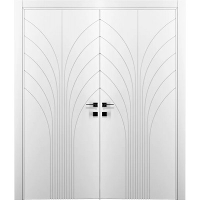 Распашные двери двустворчатые DOORIS (Дорис) модель G14