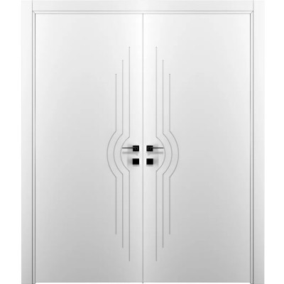 Двустворчатые двери DOORIS (Дорис) модель G03