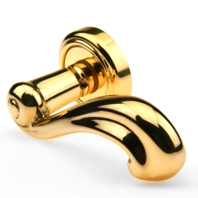 Ручка дверна на круглій розетці Frosio Bortolo колекція Fadex (Фадекс) Riccio 131V L01 - латунь полірована