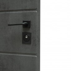 Двері вхідні МІНІСТЕРСТВО ДВЕРЕЙ П-3К-366 Оксид темний/світлий