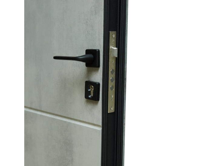 Фото Входная дверь квартирного типа ПО-361 Оксид темный/светлый 5