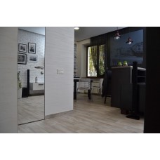 Двері прихованого монтажу Secret Doors з дзеркалом срібло