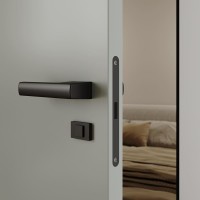 Двері прихованого монтажу Secret Doors фарбовані двері супермат