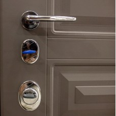 Двери входные Straj • Standard Lux Securemme • Рубин