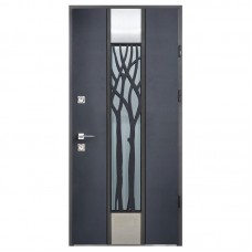 Двери входные Straj • Proof Securemme • Roble