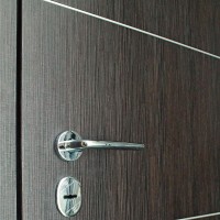 Двери входные Straj • Standard Lux Securemme • Соло