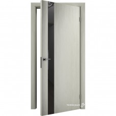 Двери межкомнатные TERMINUS Solid 802 Аляска зеркало графит