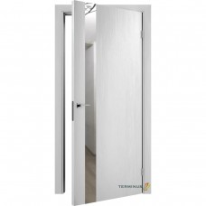 Двери межкомнатные TERMINUS Solid 802 Артика зеркало серебро