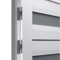 Двері міжкімнатні TERMINUS Elit Plus 109 Білий засклені