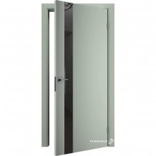 Двери межкомнатные TERMINUS Solid 802 Оливин зеркало графит