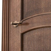 Двері міжкімнатні TERMINUS Caro 50 Дуб коричневий глухі