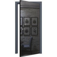 Двери межкомнатные TERMINUS Solid 812 Зеркало графит