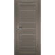 Двери межкомнатные TERMINUS UkrDoors UD-01 Серые глухие