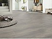 Фото Ламинат KRONOTEX Exquisit Plus 6013 Дуб Elba Silver 2 Фото Ламинат KRONOTEX Exquisit Plus 6013 Дуб Elba Silver 2
