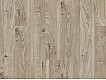 Фото Ламинат KRONOTEX Mammut 3081 Дуб Everest Beige 1 Фото Ламинат KRONOTEX Mammut 3081 Дуб Everest Beige 1