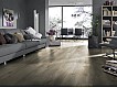 Фото Ламинат KRONOTEX Mammut 3669 Дуб Makro Beige 2 Фото Ламинат KRONOTEX Mammut 3669 Дуб Makro Beige 2