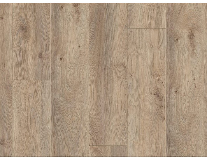 Фото Ламинат KRONOTEX Mammut Plus 3669 Дуб Makro Beige 1 Фото Ламинат KRONOTEX Mammut Plus 3669 Дуб Makro Beige 1