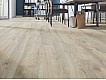 Фото Ламинат KRONOTEX Mammut Plus 3669 Дуб Makro Beige 2 Фото Ламинат KRONOTEX Mammut Plus 3669 Дуб Makro Beige 2