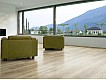 Фото Ламинат KRONOTEX Mammut Plus 4725 Дуб Berg Natur 2 Фото Ламинат KRONOTEX Mammut Plus 4725 Дуб Berg Natur 2