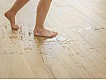 Фото Ламинат QUICK STEP IMU1847 Дуб Classic beige 2 Фото Ламинат QUICK STEP IMU1847 Дуб Classic beige 2