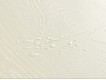 Фото Ламинат QUICK STEP CLM5798 Дуб Frosty white 3 Фото Ламинат QUICK STEP CLM5798 Дуб Frosty white 3