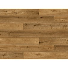 Вінілова підлога SPC Apro Authentic AC-501-PL Дуб Gold