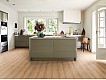 Фото Ламинат Egger Classic Aqua Plus 32/8 EL2172 Дуб Падуя медовый 2 Фото Ламинат Egger Classic Aqua Plus 32/8 EL2172 Дуб Падуя медовый 2