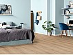 Фото Ламинат Egger Kingsize 32/8 EL2093 Дуб Ортега 2