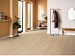 Фото Ламинат Egger Classic Aqua 33/8 EL2027 Дуб Виктория натуральный 2 Фото Ламинат Egger Classic Aqua 33/8 EL2027 Дуб Виктория натуральный 2