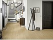 Фото Ламинат Egger Classic Aqua Plus 33/8 EL2152 Дуб Казелла натуральный 2