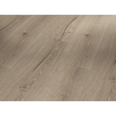 Вінілова підлога PARADOR SPC 1748844 Дуб Cambridge taupe