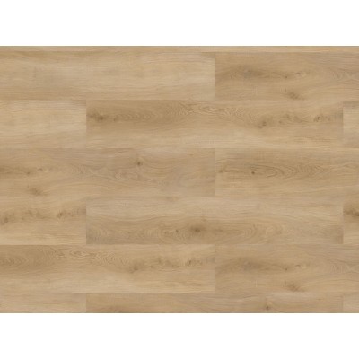 Вінілова підлога CHECK SPC 2461 Дуб Buchrasen