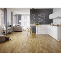 Паркетная доска BARLINEK Дуб Askania Molti 3WG000311 лак professional