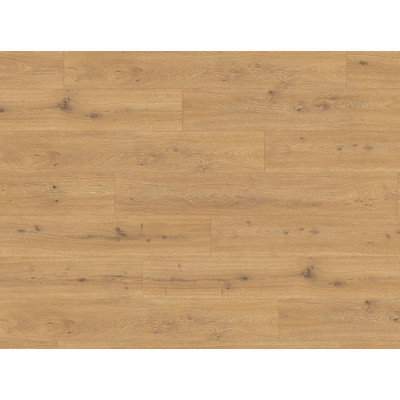 Ламинат Egger Classic Aqua 32/10 Дуб Предайа медовый
